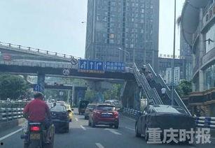 重庆市民爆料最新,神秘事件引发热议，真相究竟如何？  第1张