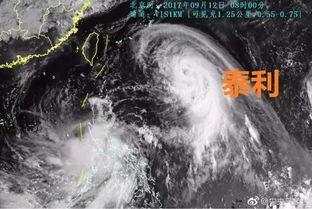 南京台风最新爆料,城市安全与民生保障紧急应对  第3张